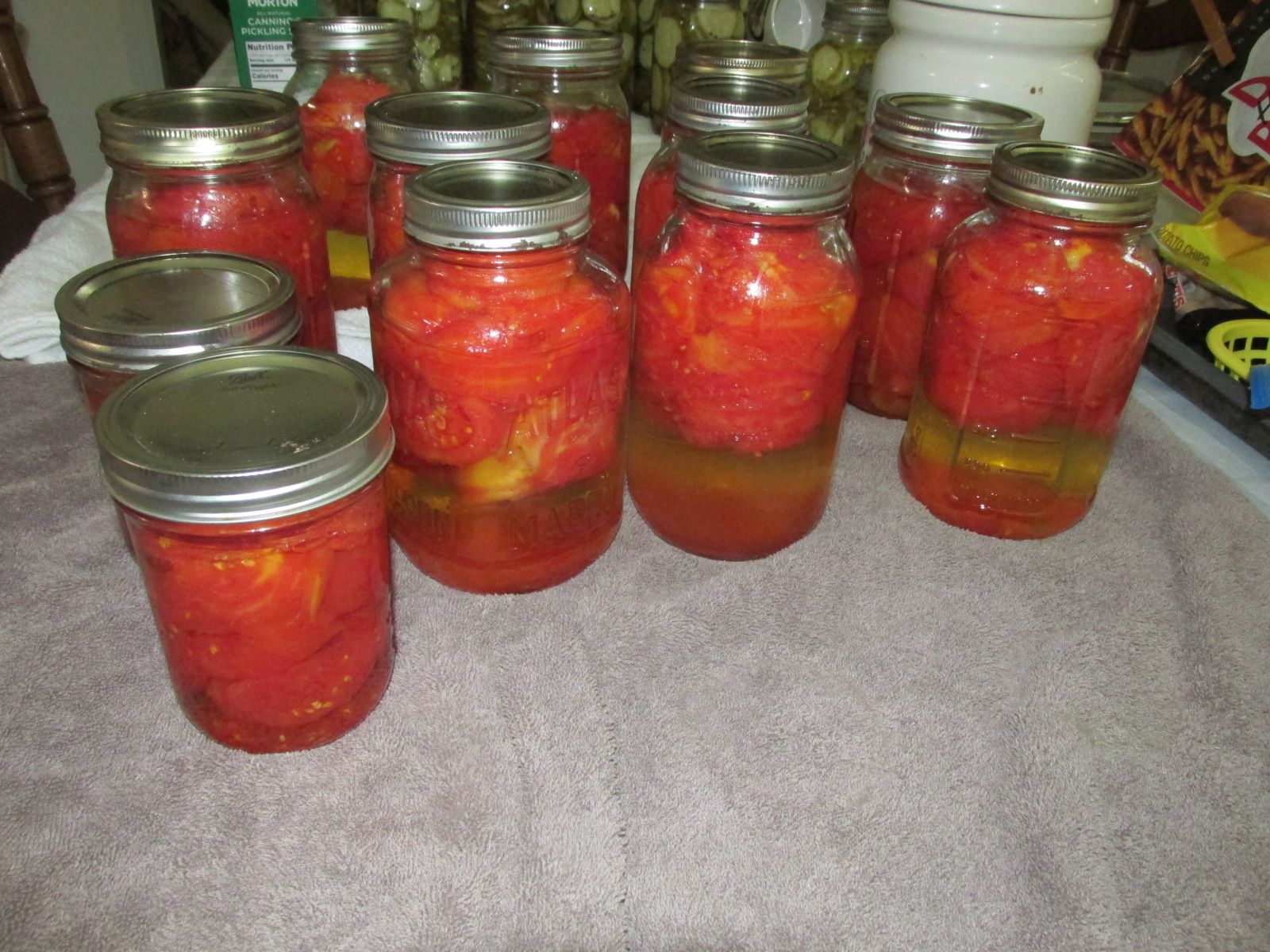 250728 002 tomatoes 001.jpg