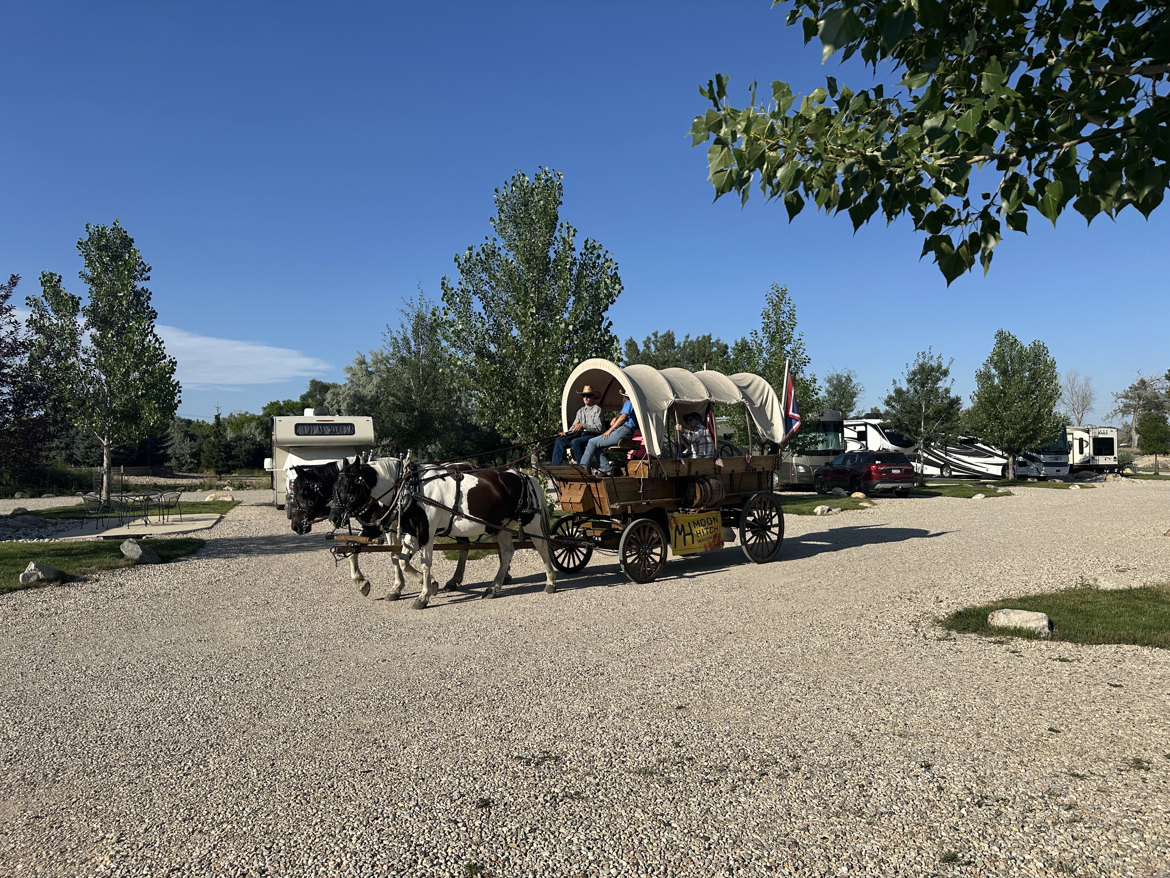 IMG_0538.jpeg