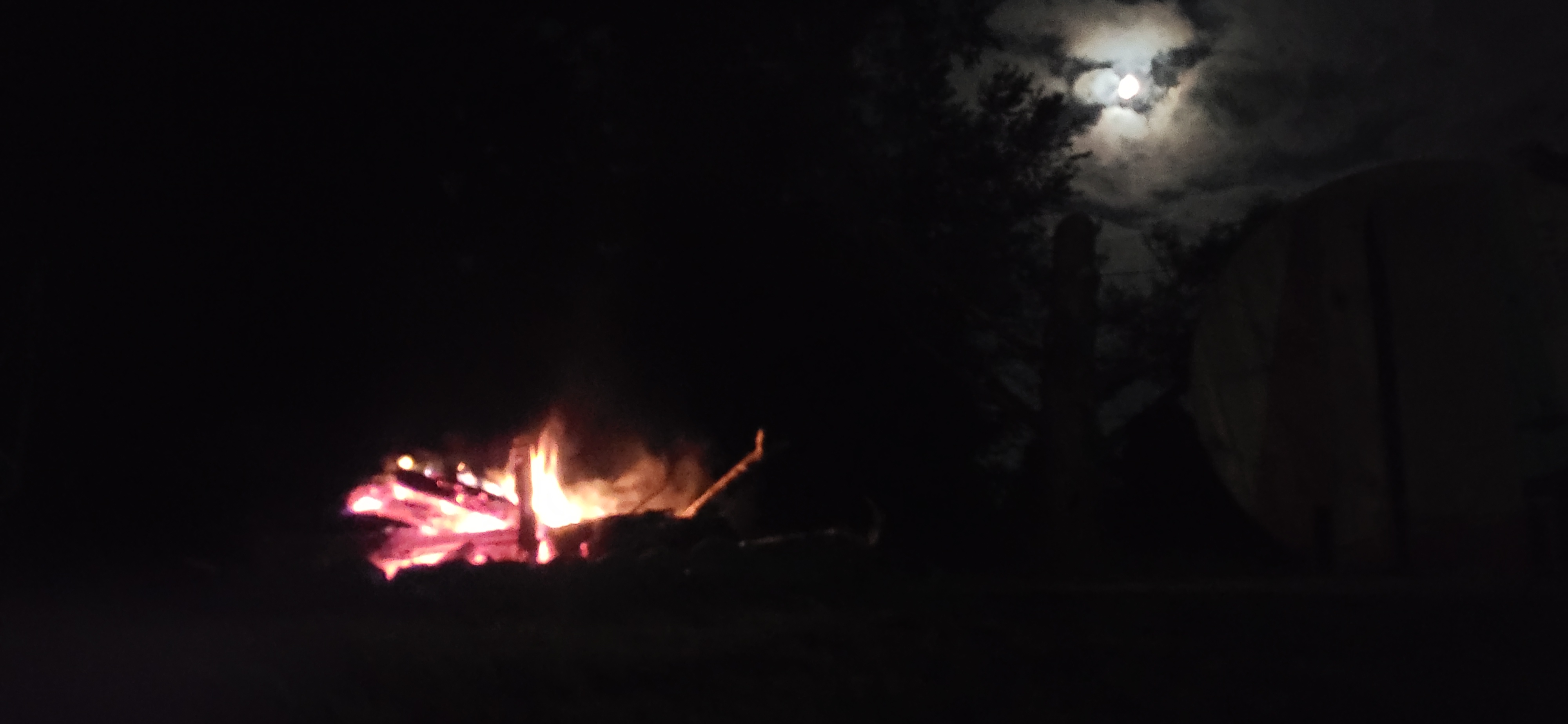 20250801_212259.jpg