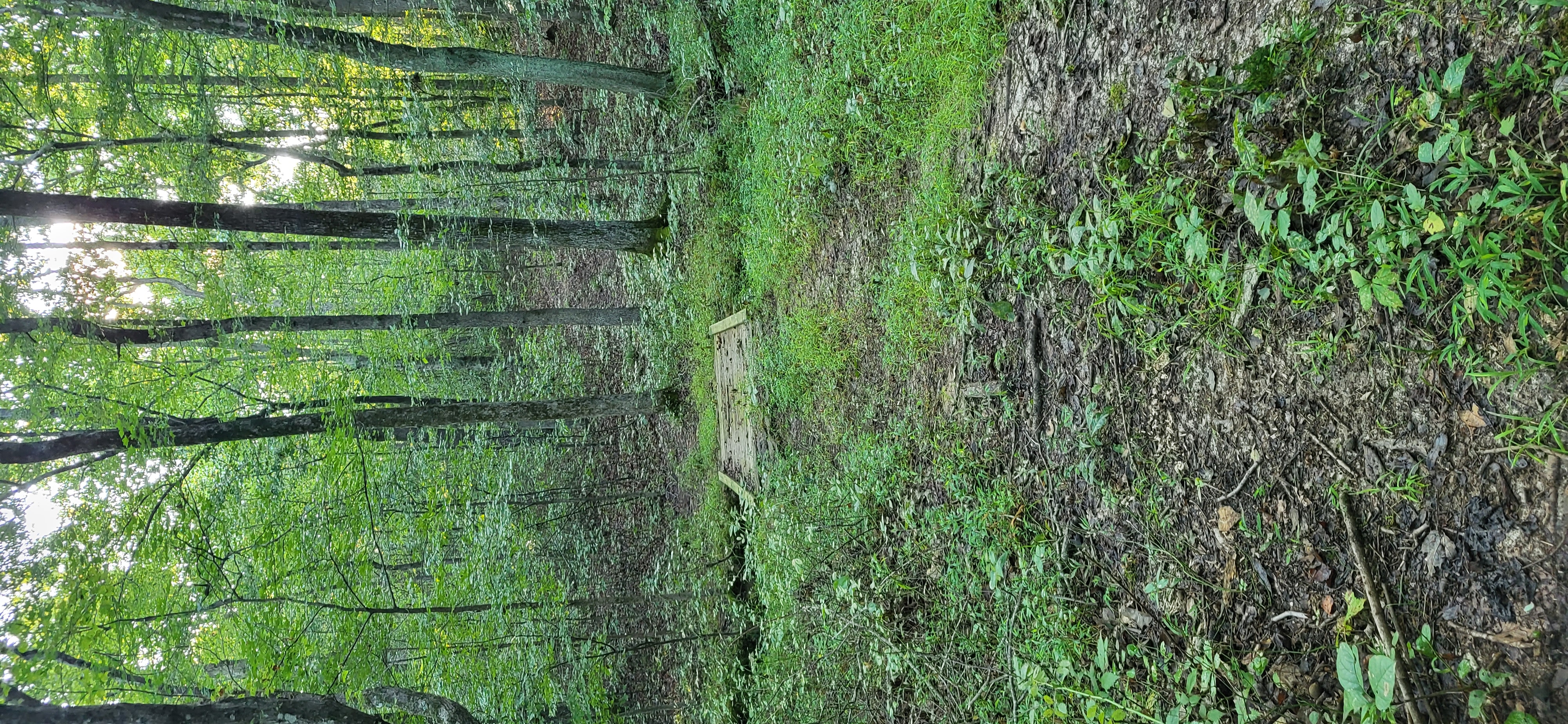20250813_073833.jpg