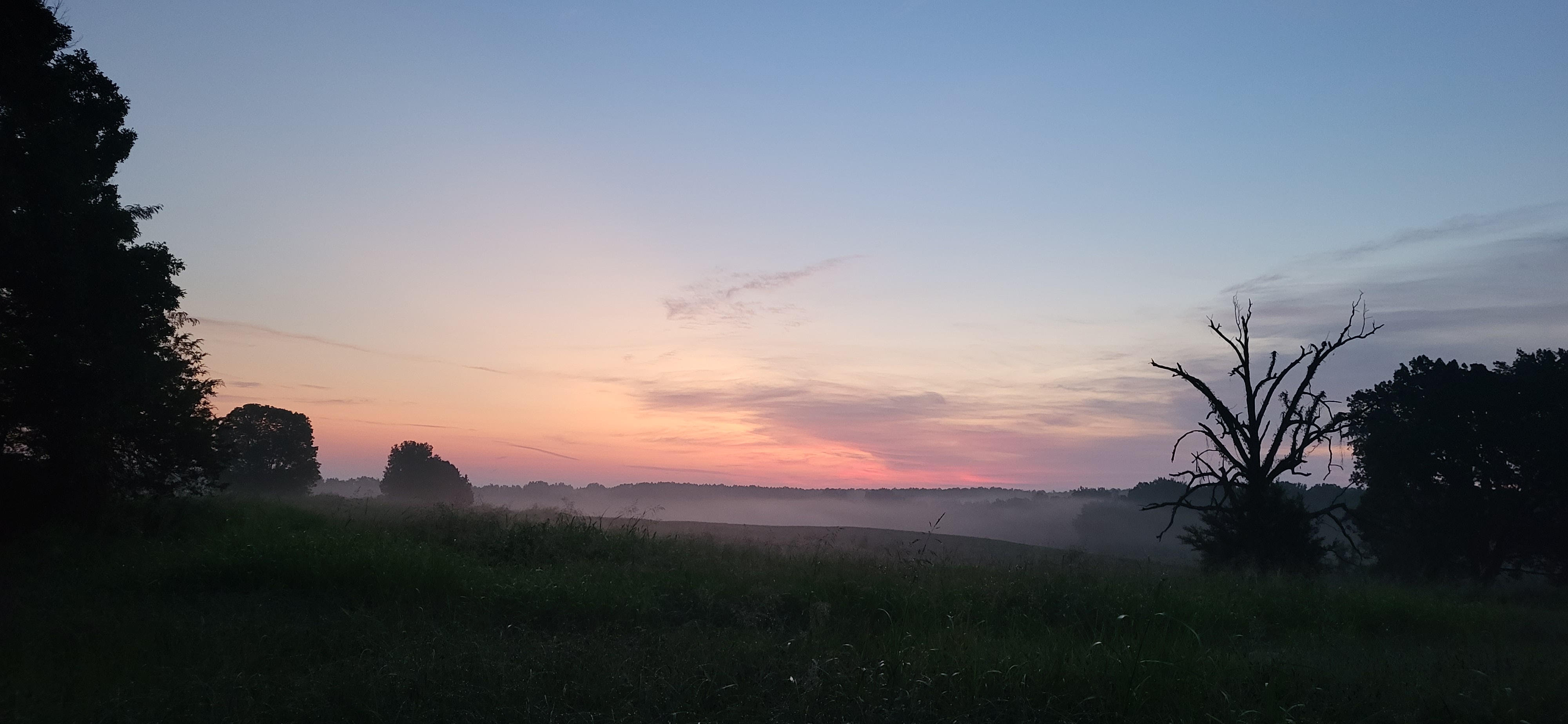 20250814_055151.jpg
