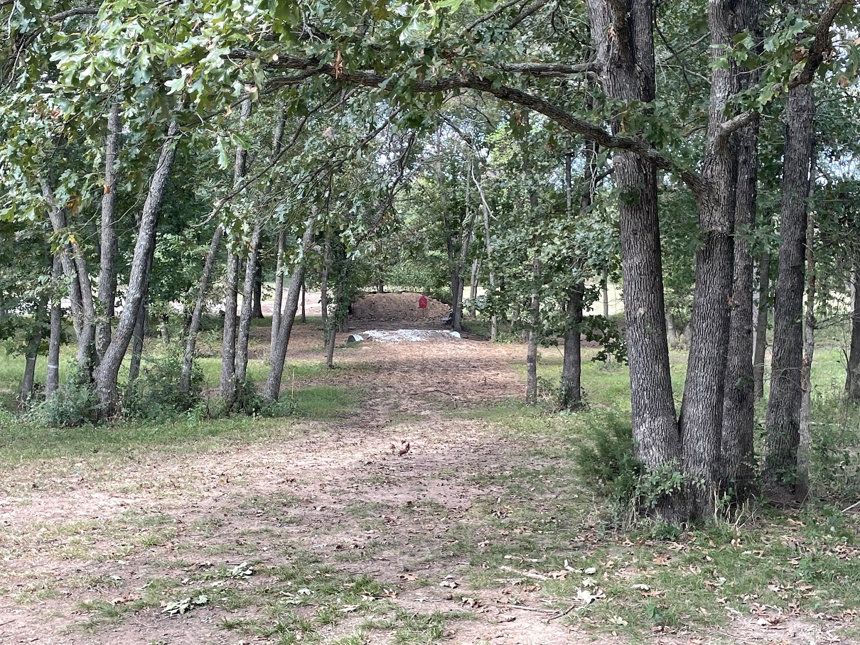 trimmed back trees.jpg