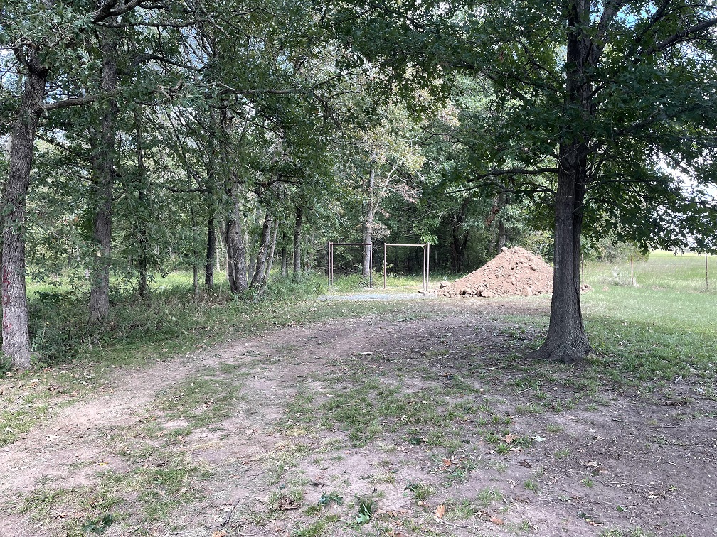 04 trimmed back trees.jpg