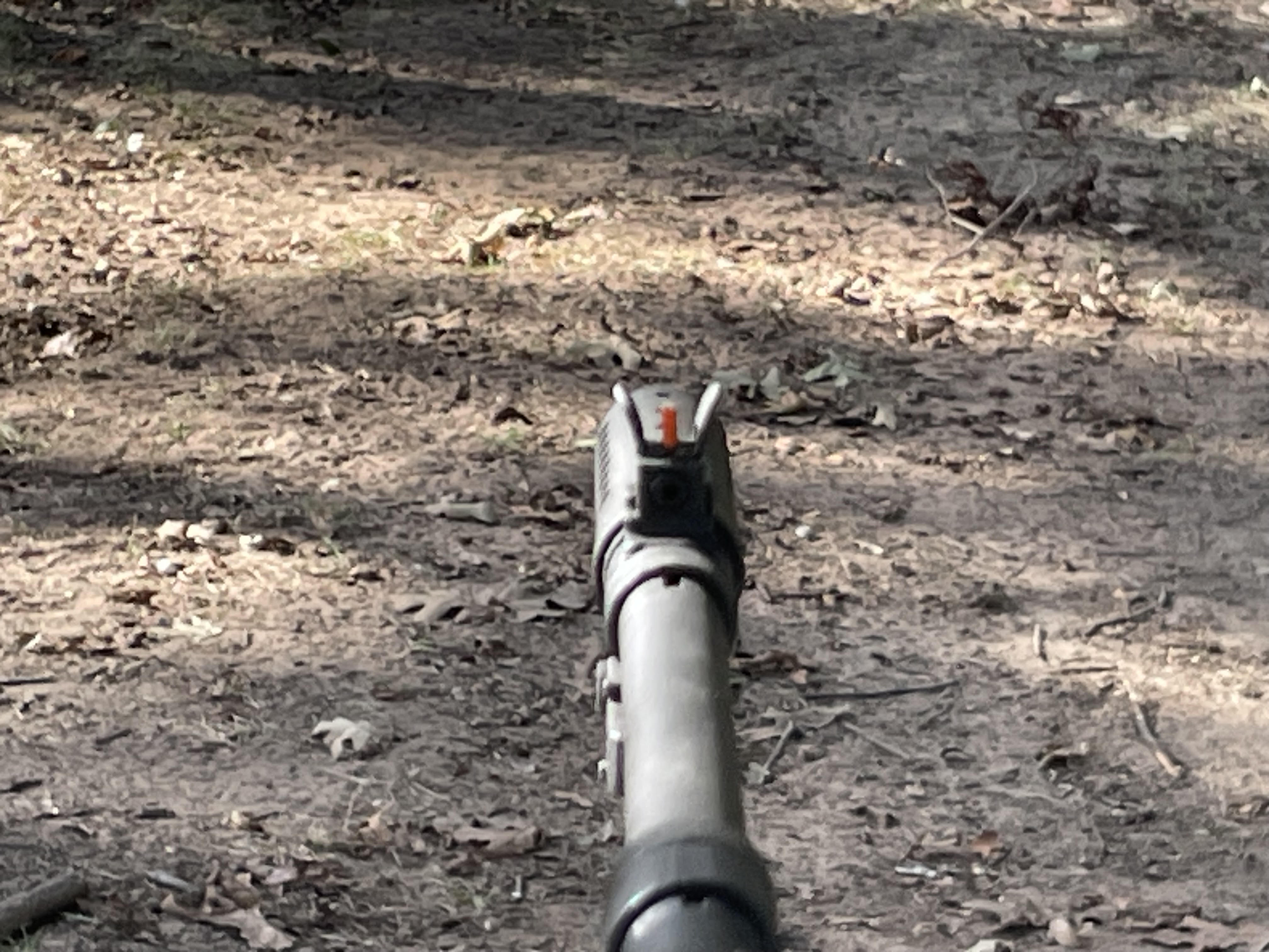 03 front sight for old guy.jpg