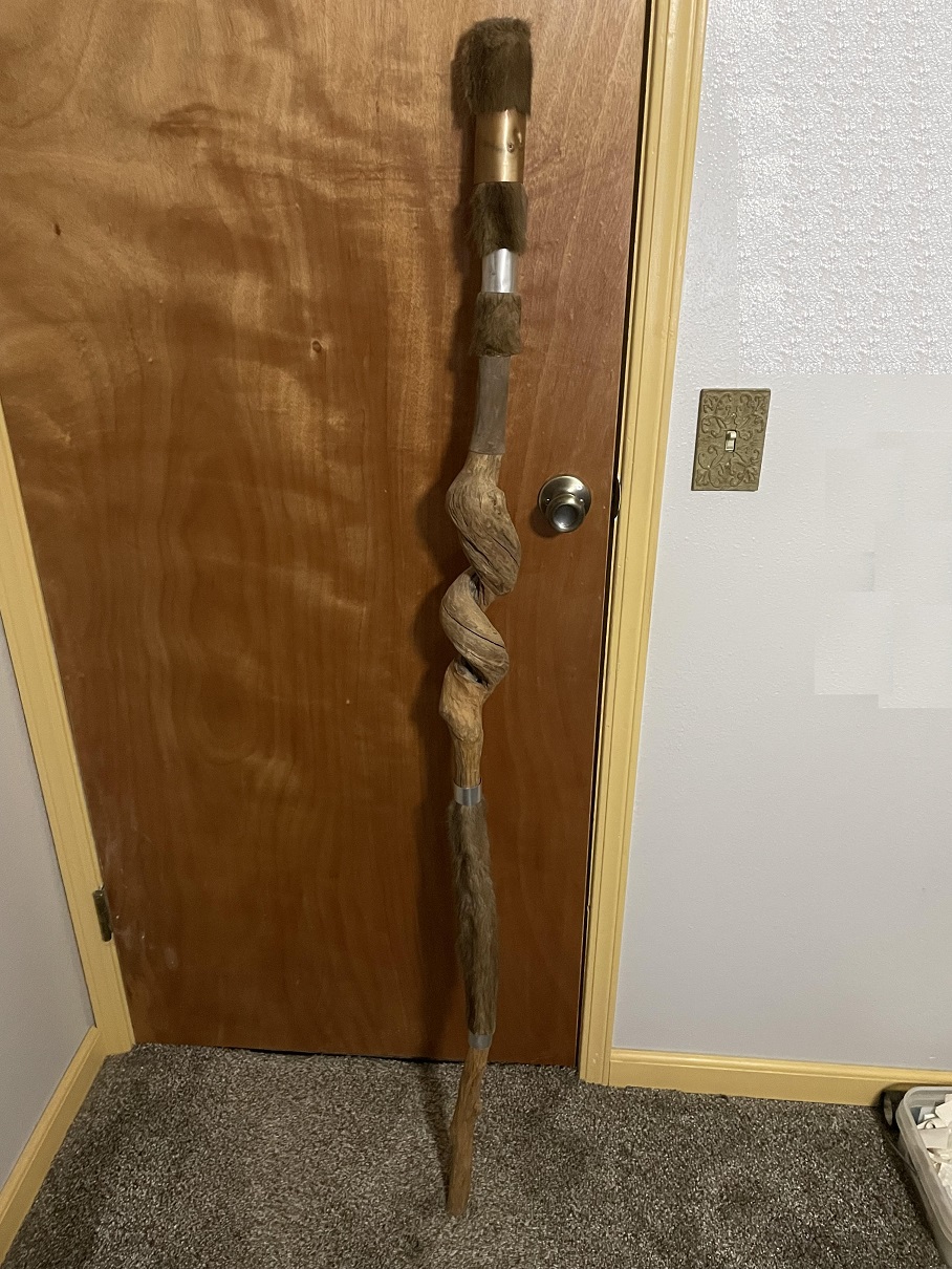 walking stick.jpg