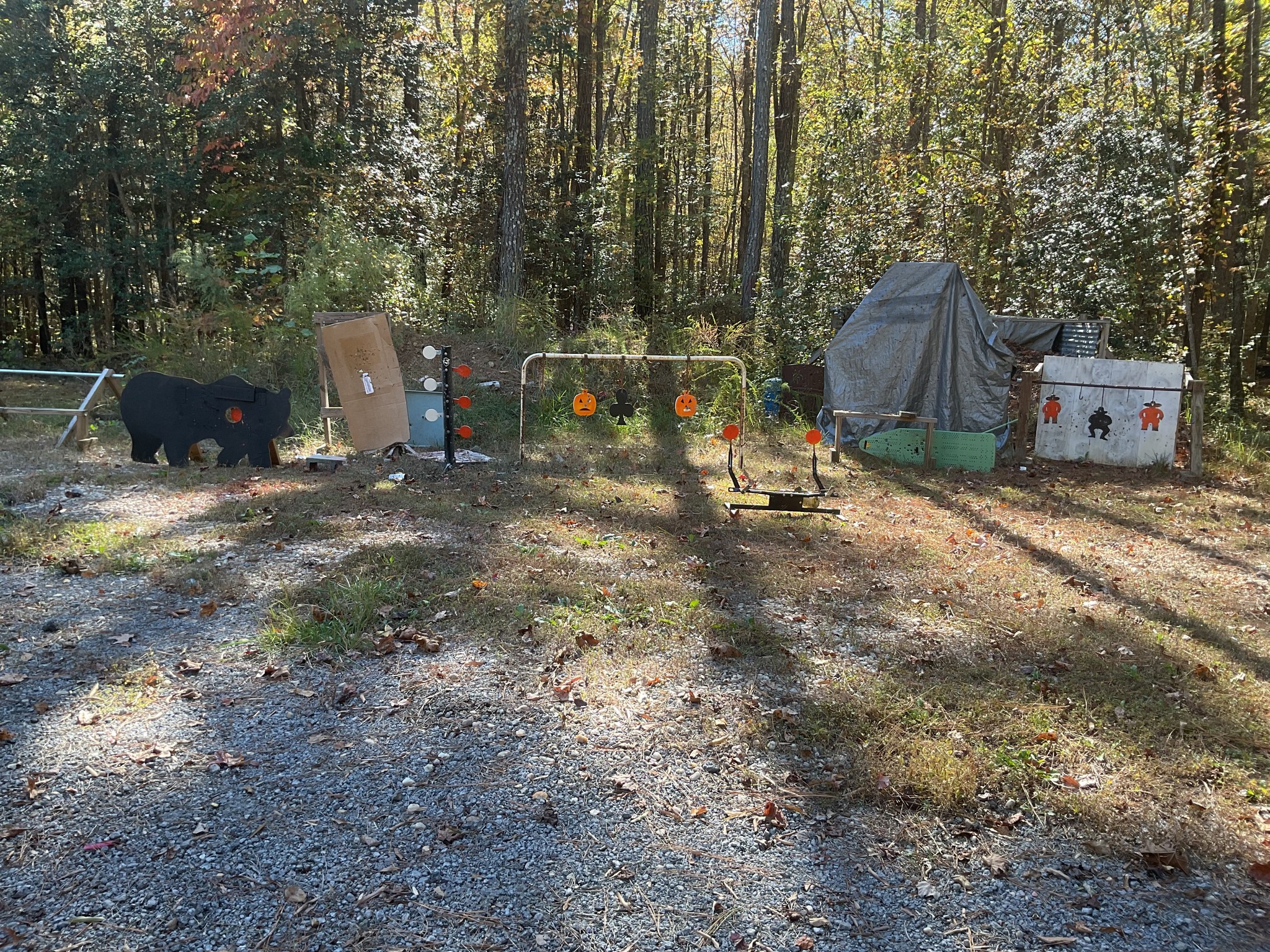 22 rimfire target area.jpg