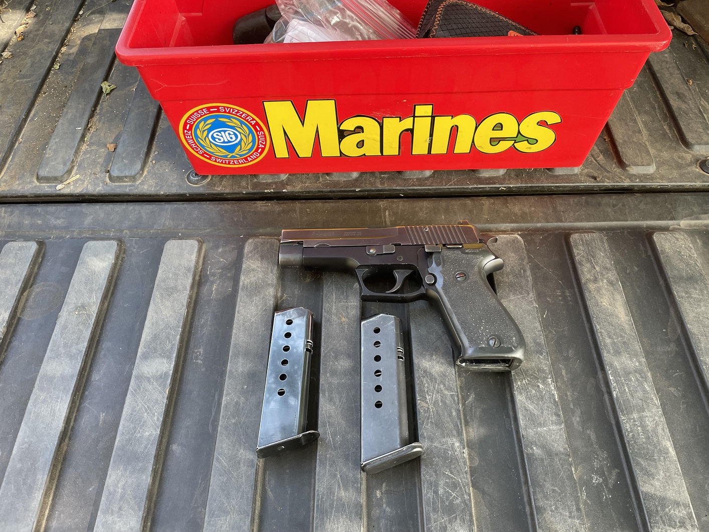 07 Winter Carry Sig P220.jpg