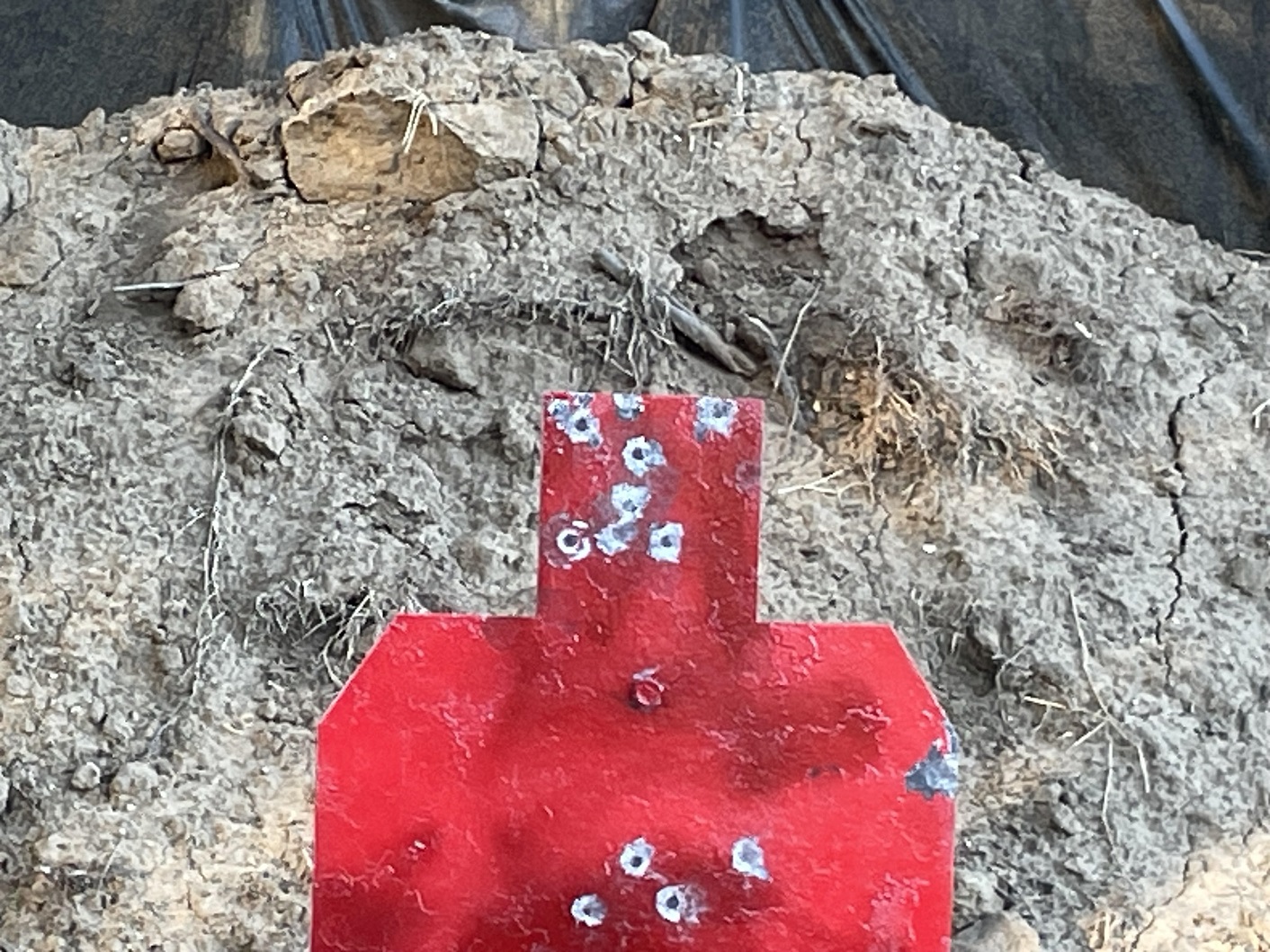 03 twelve shots anaconda fifteen yards.jpg