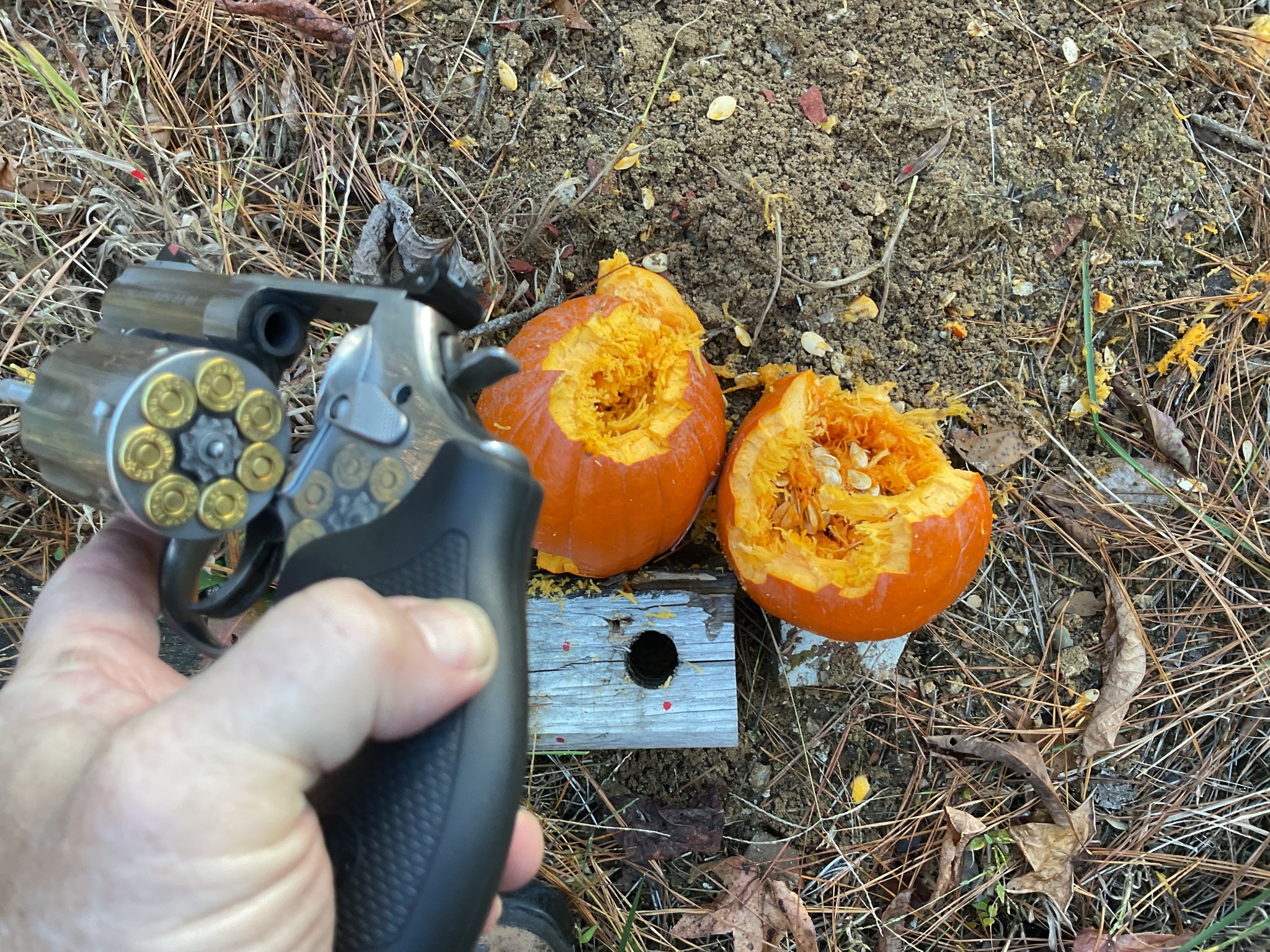 poor pumpkins get bad end of my SW 686.jpg