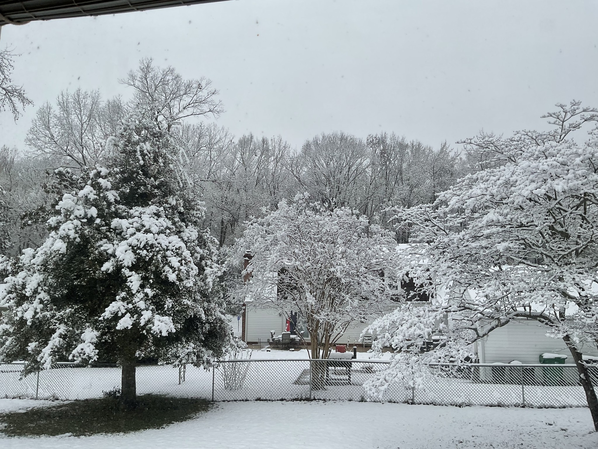 first December snow in Central Va. 2025.jpg