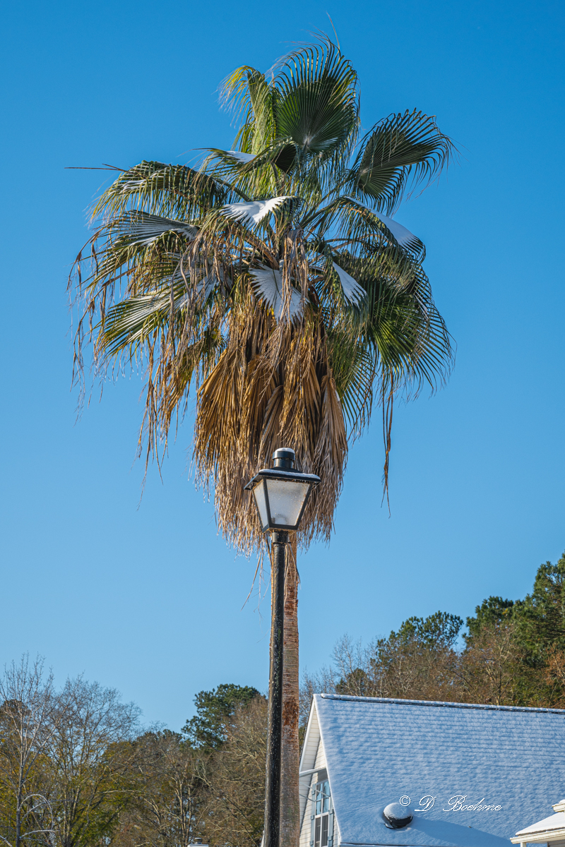 DSC_8092.jpg