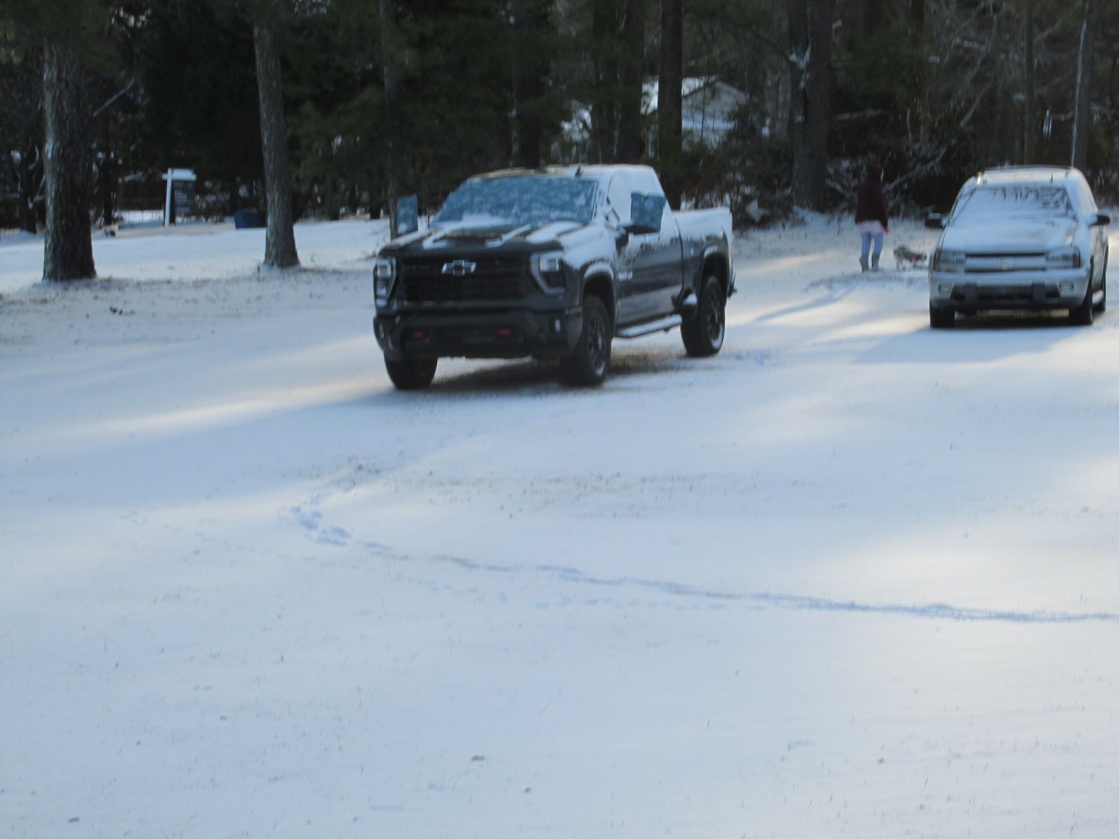 260201 001 2 to 3 inches 005.jpg