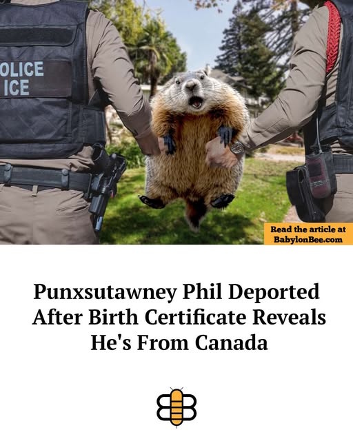 Pauxataney Phil is deported.jpg