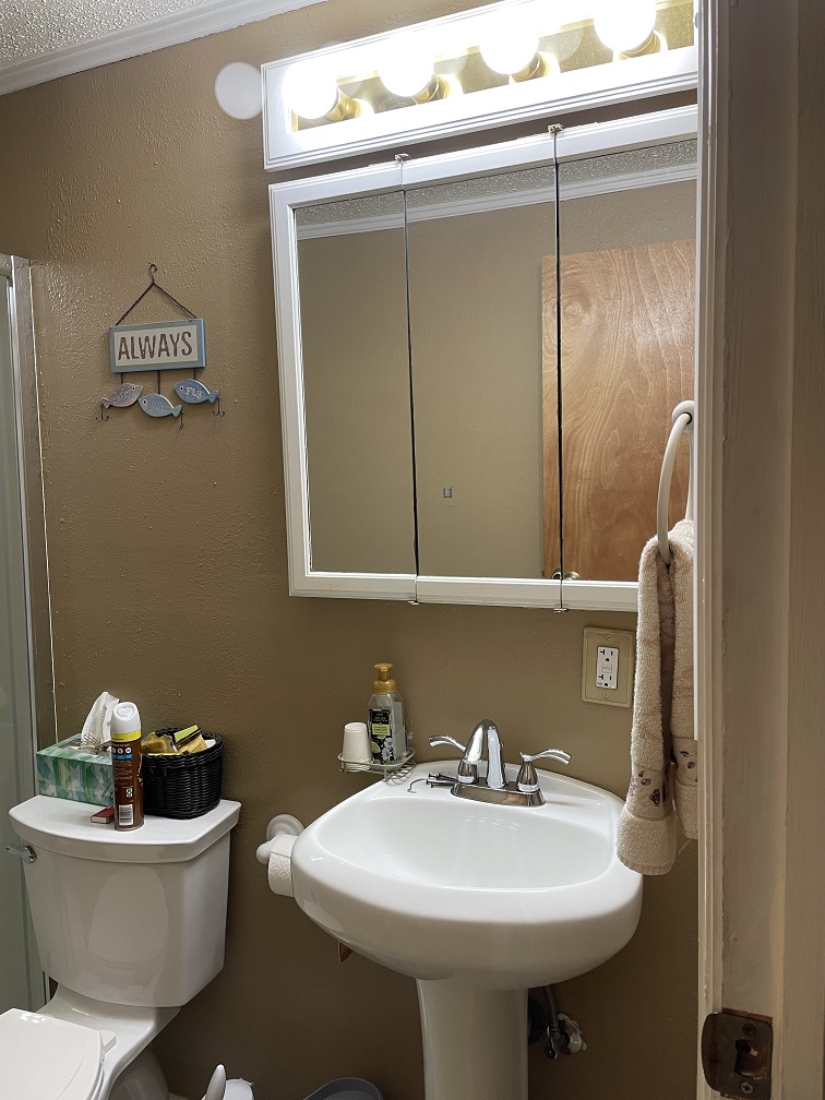 02 pedestal sink.jpeg