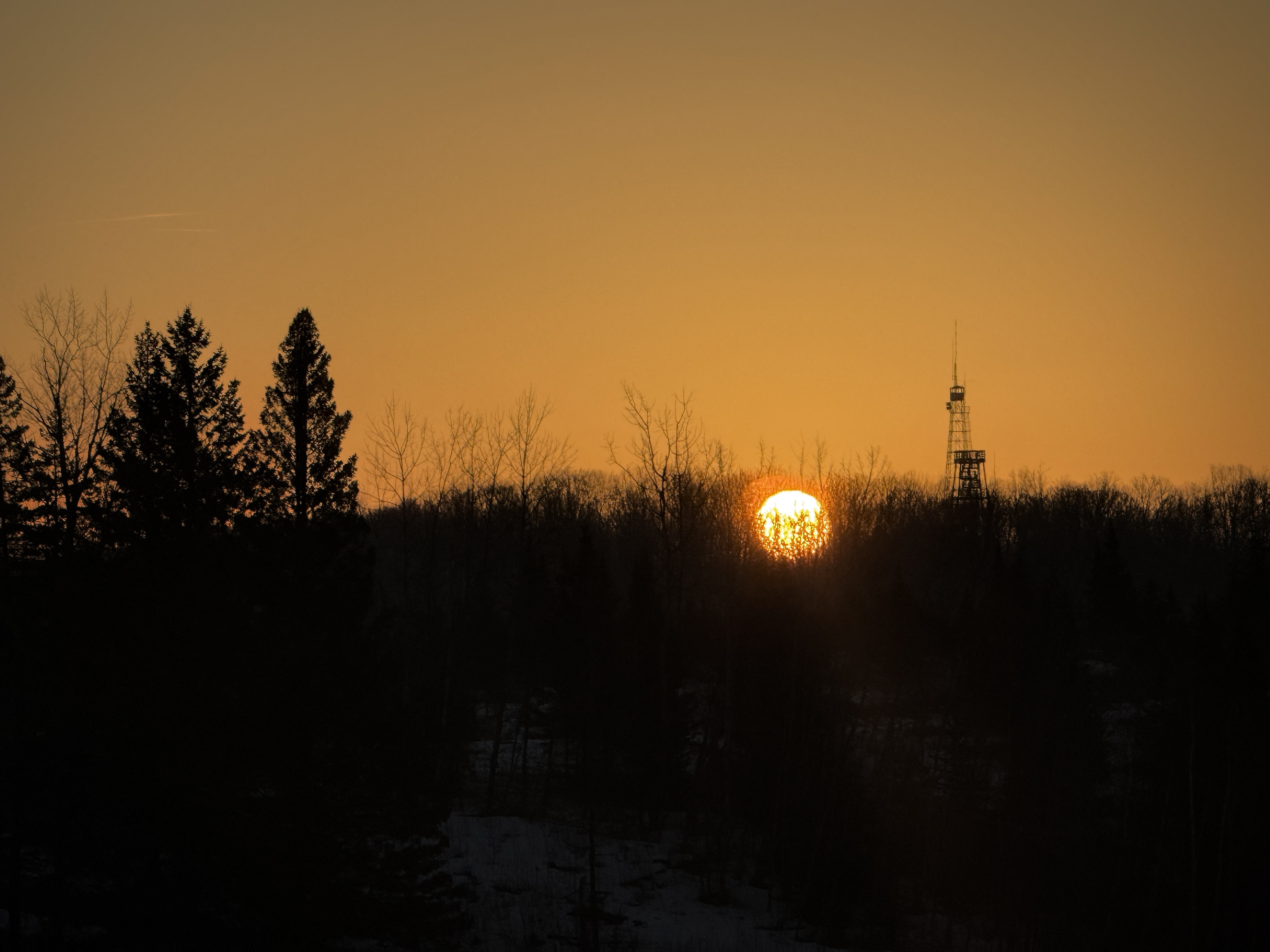 IMG_7034.jpeg