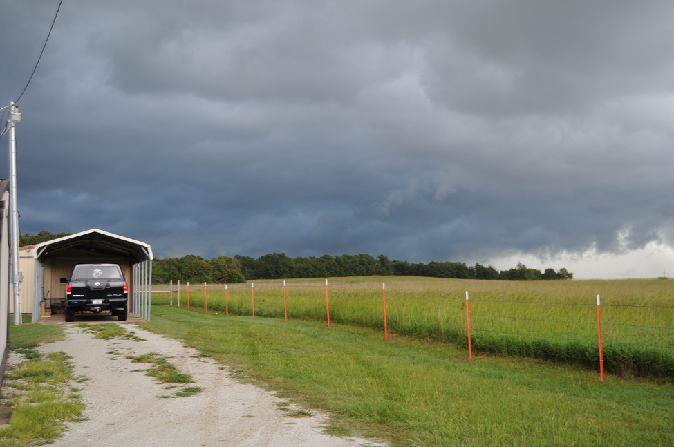 East Fence Line Intact.jpg