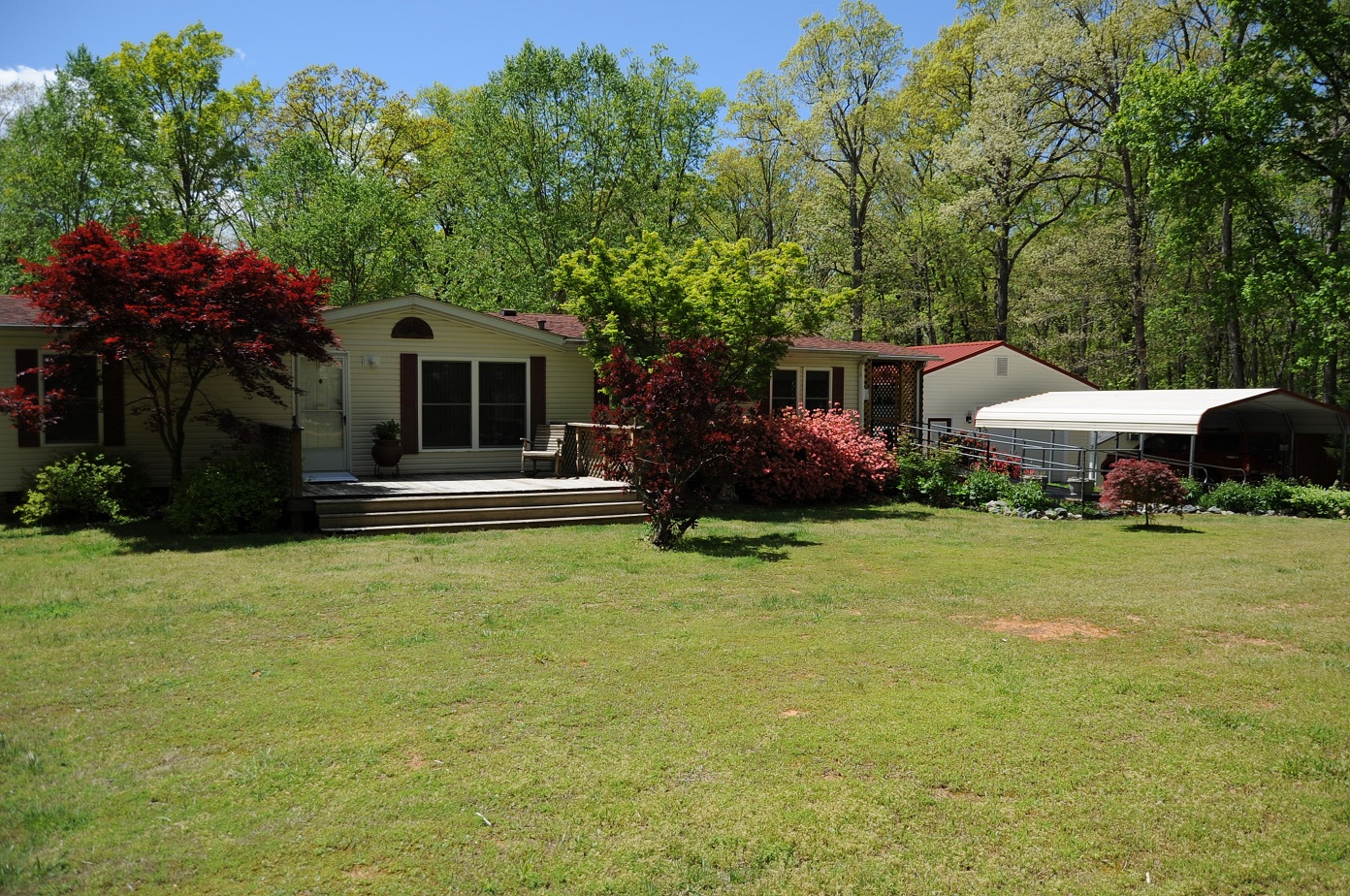 front of the house.jpg