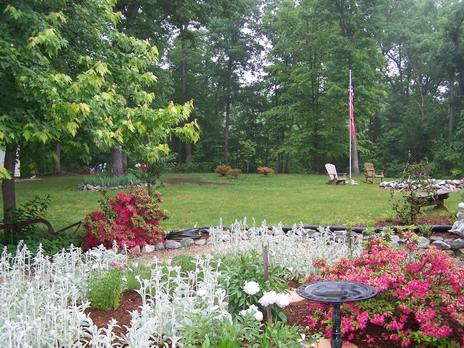 front yard best comp.jpg