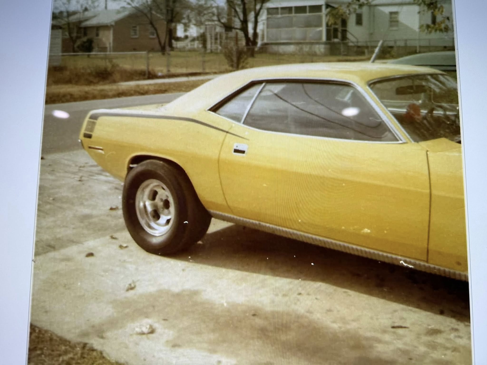 fat tired Hemicuda.jpg