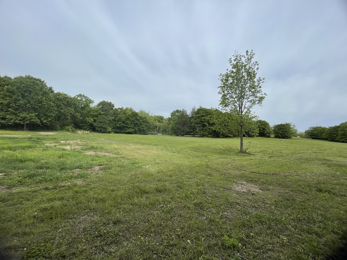 mid pasture.jpeg