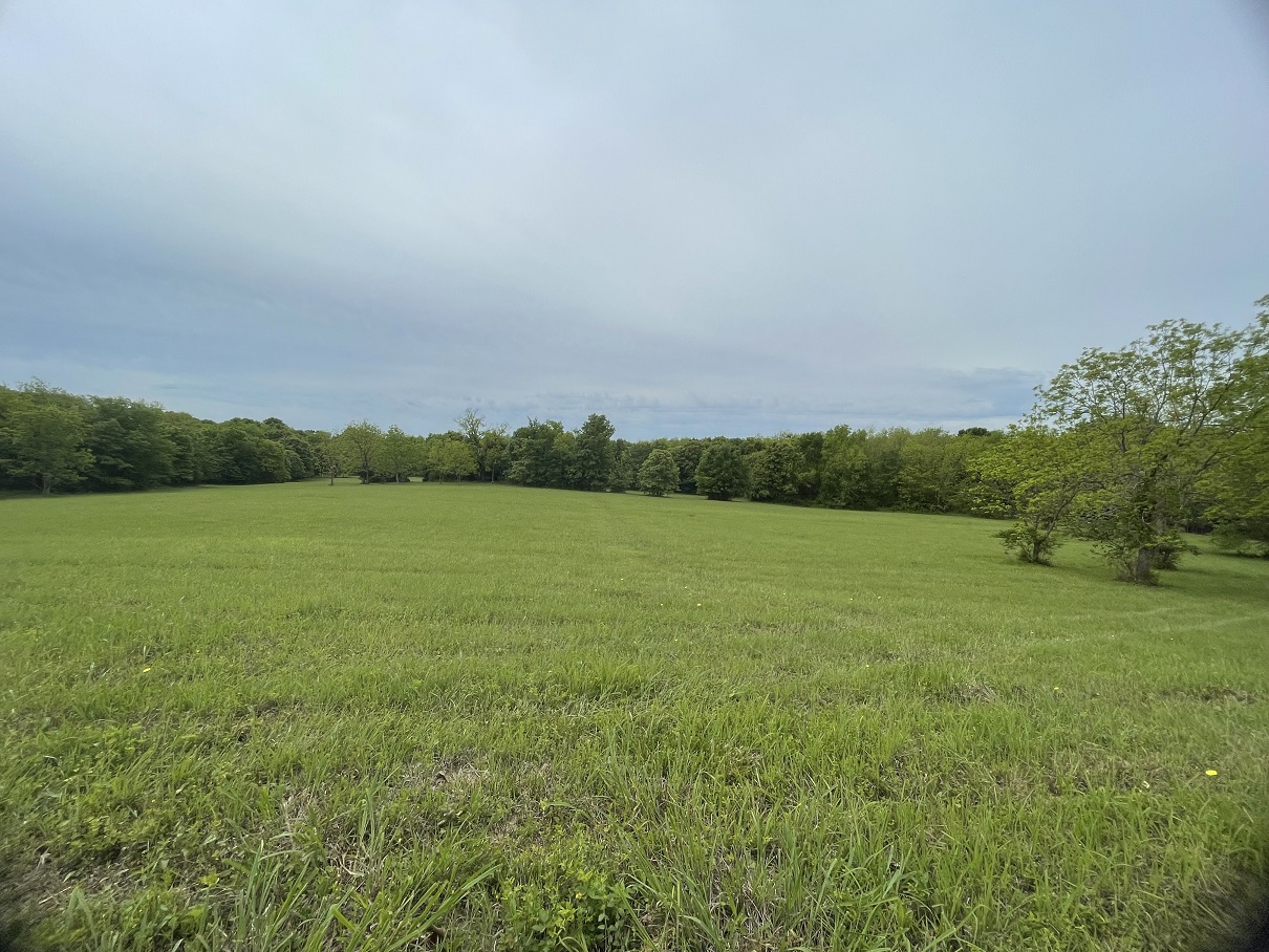north pasture.jpeg