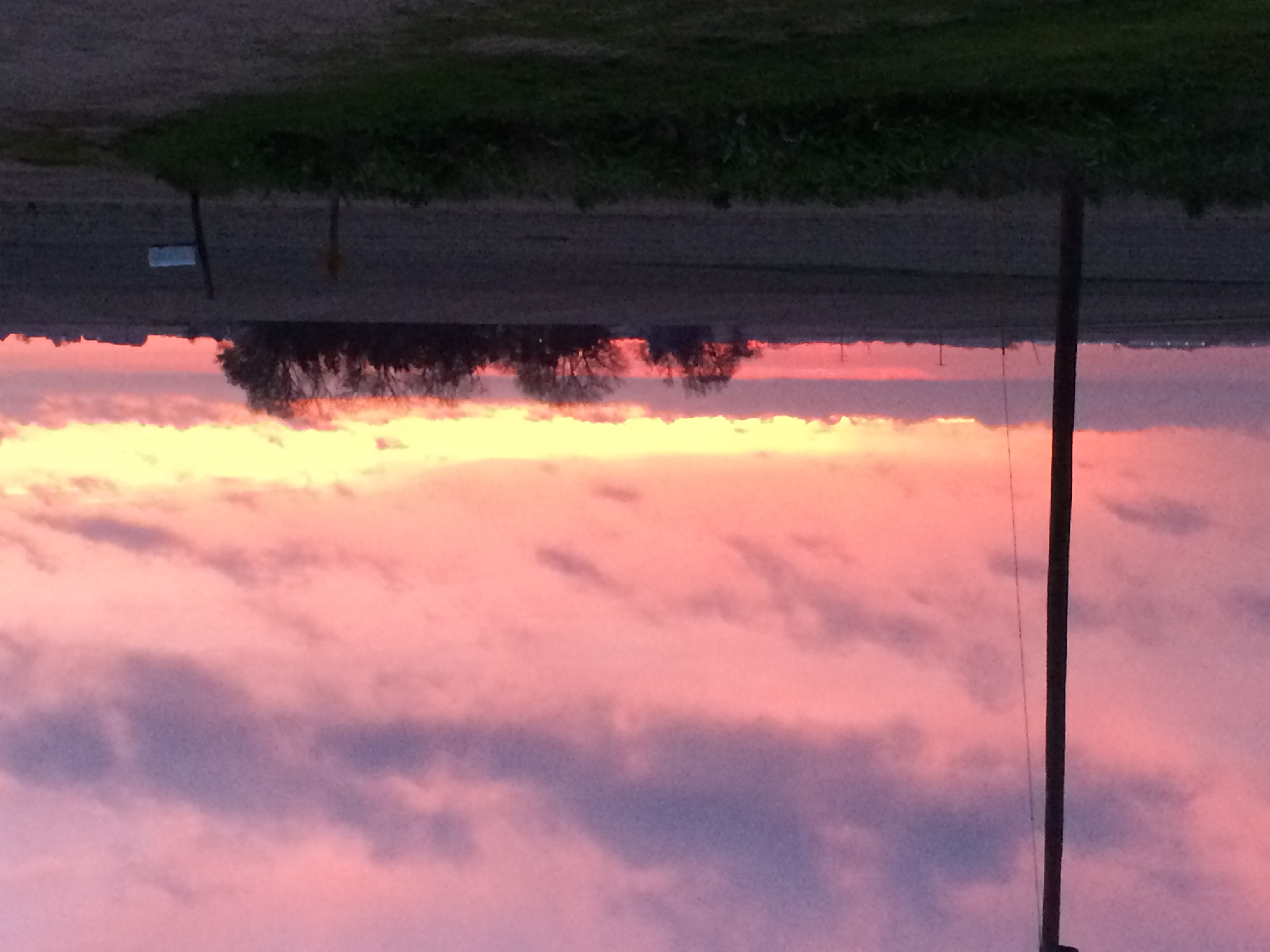 The view from the garage