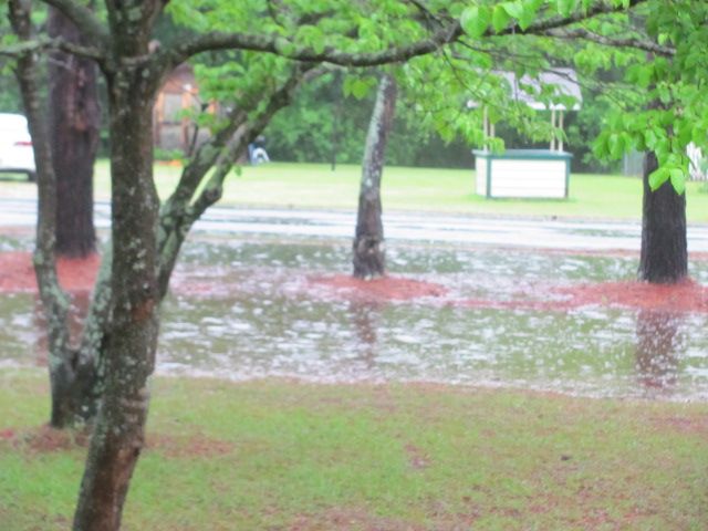 170425 001 front ditch 003.jpg