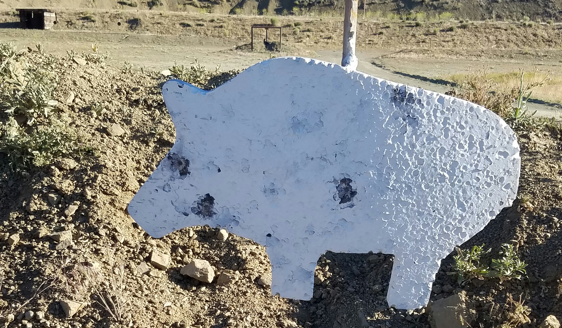 20170519_124056.jpg