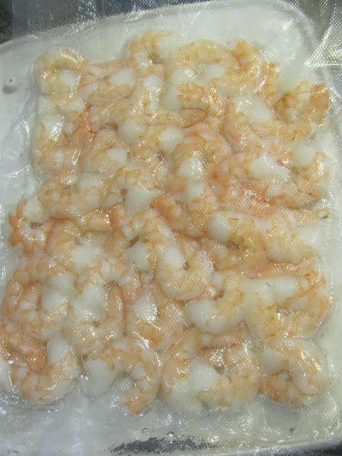170524 003 shrimp 002.jpg