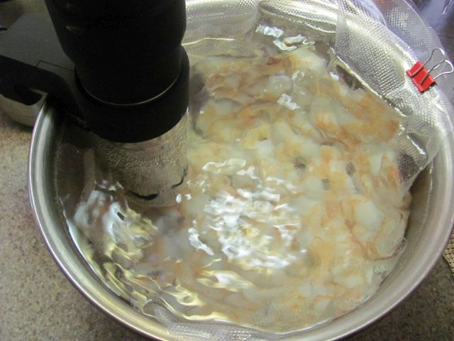 170524 002 shrimp 003.jpg