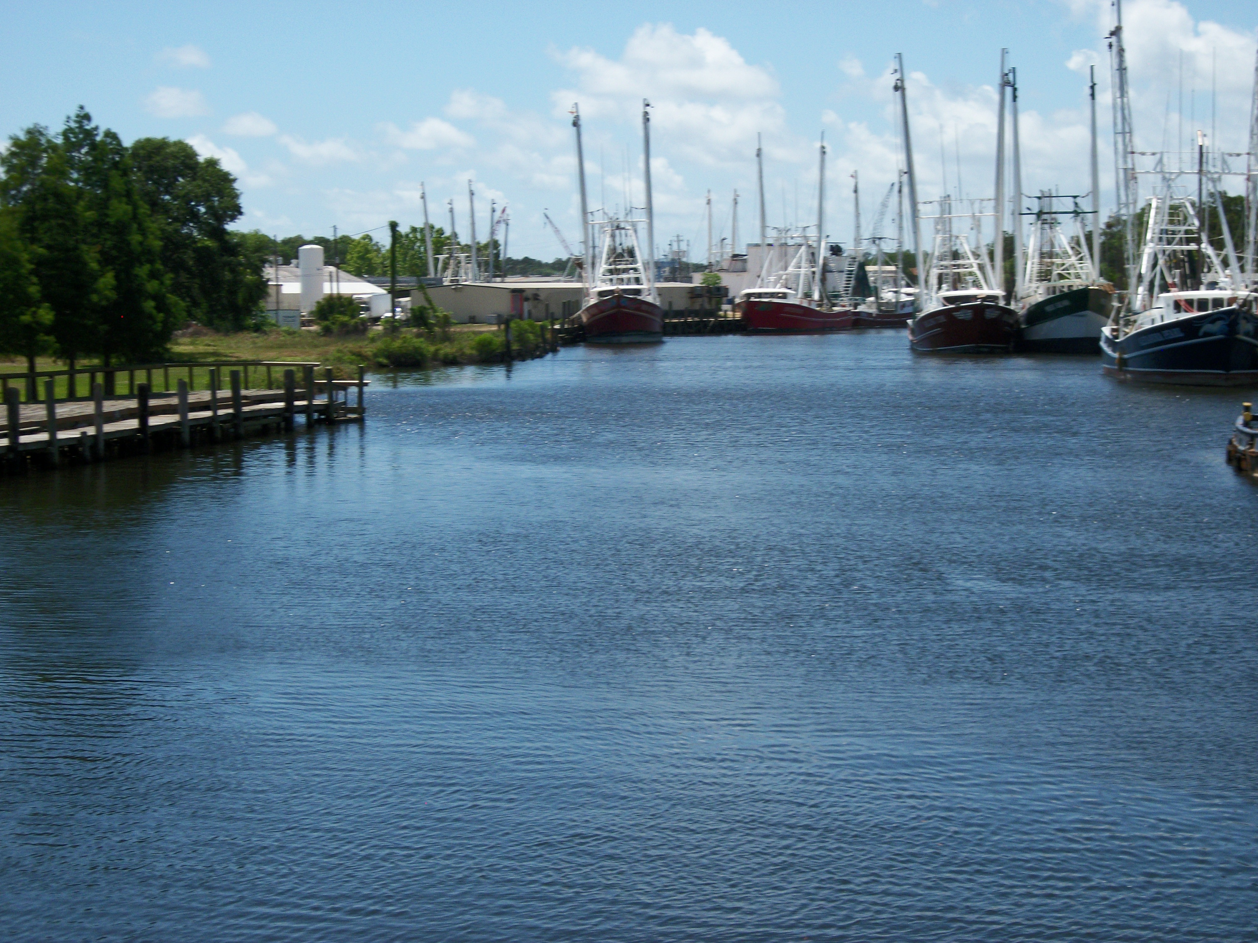 Shrimp boats at Bayou La Batre, Ala.  Remember "Bubba Gump Shrimp Co."
