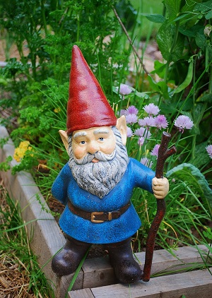 hiking stick.jpg