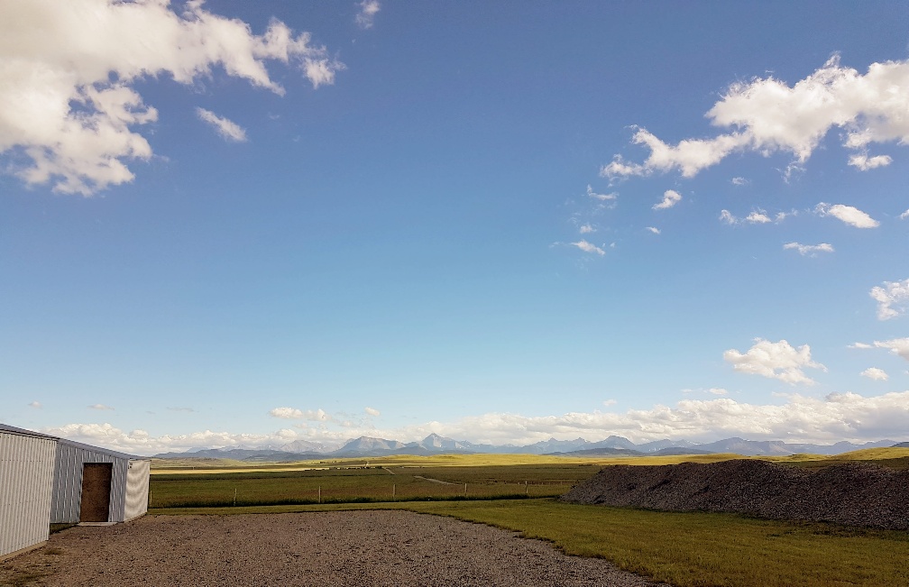 The view looking south