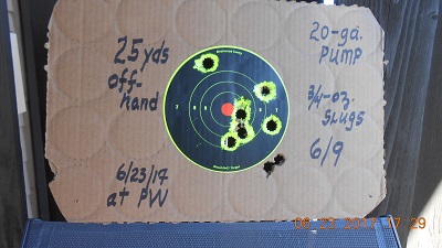 PUMP at Parma Woods.JPG