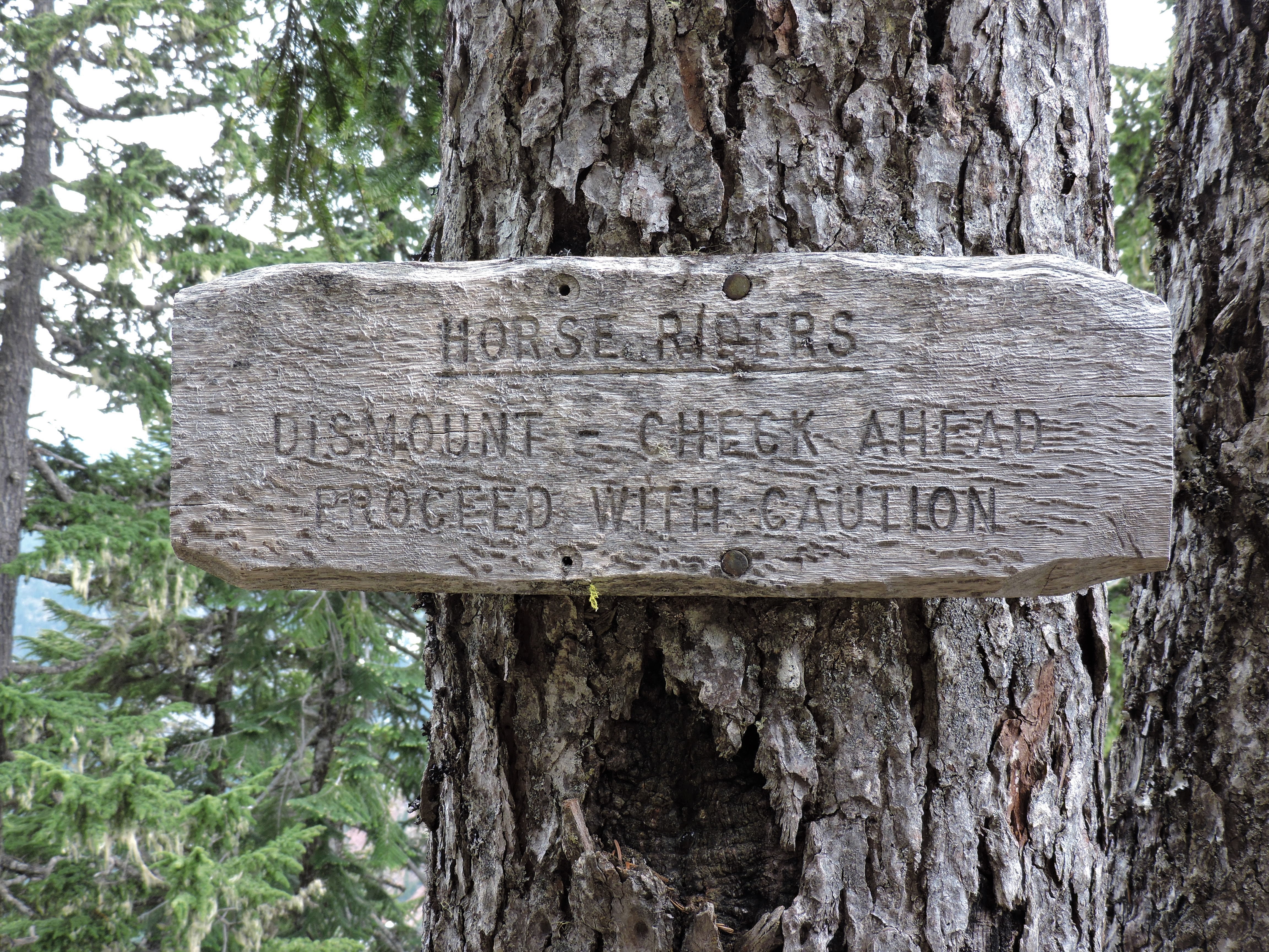 DSCN2643.JPG