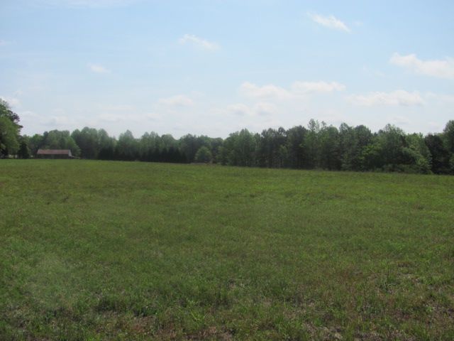 170420 004 back of big field 002.jpg