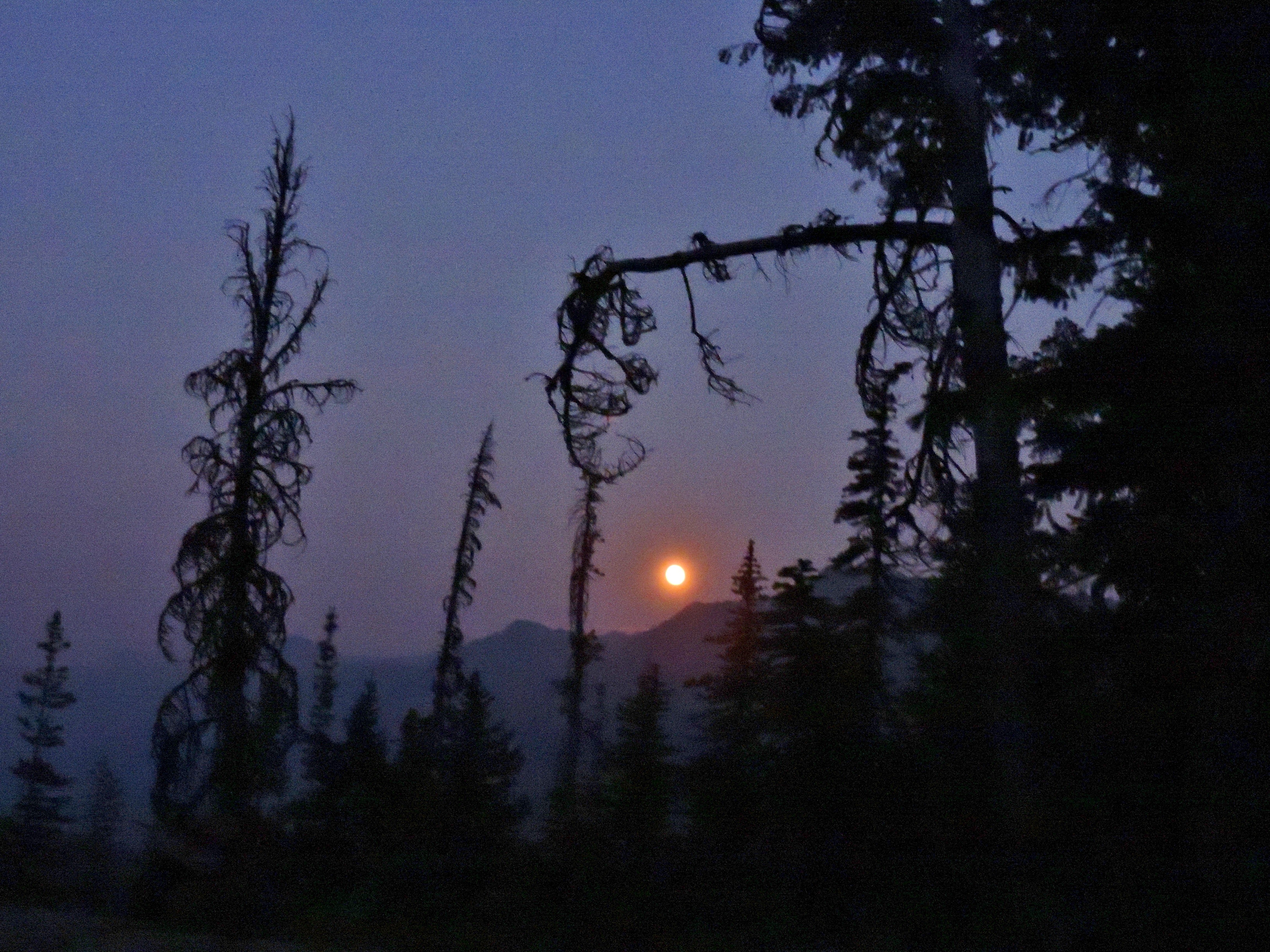 DSCN4393.JPG