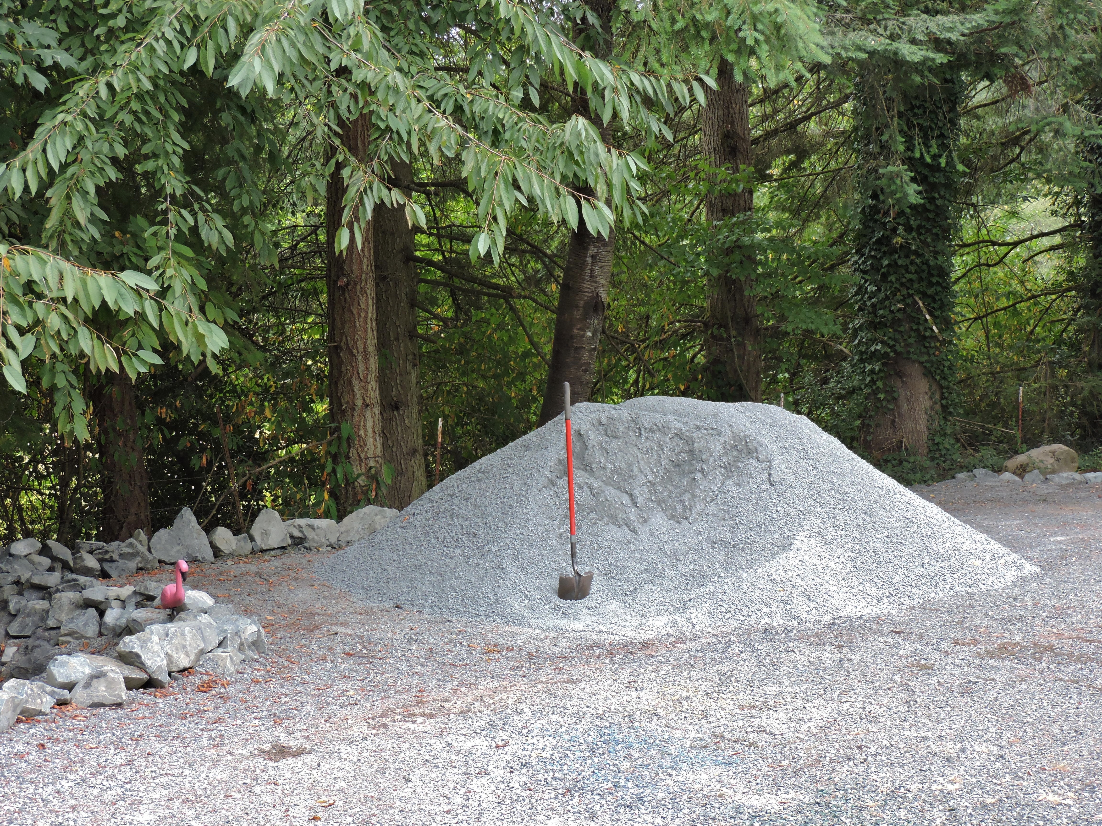 DSCN4553.JPG