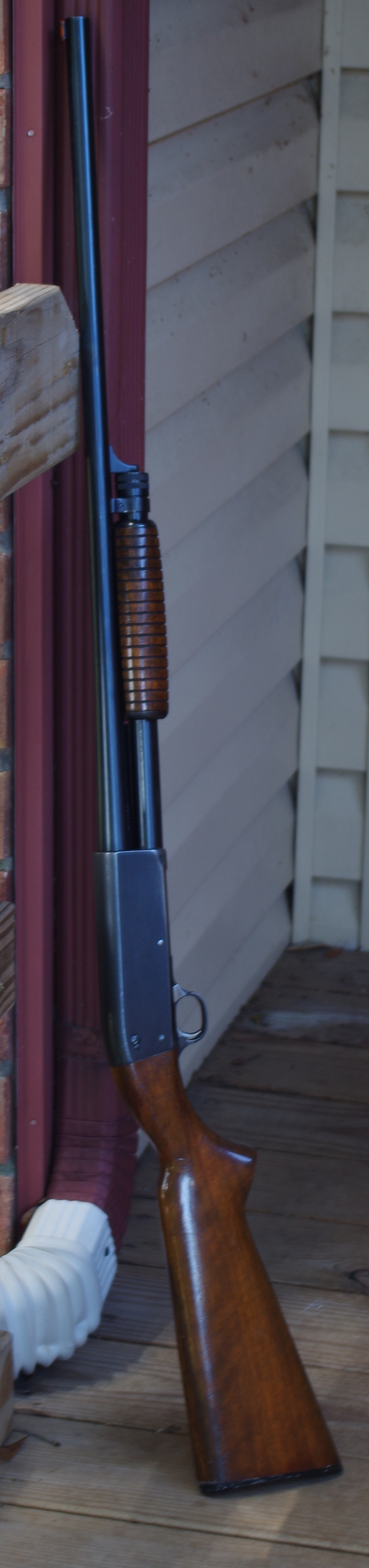 IMGP0571.JPG