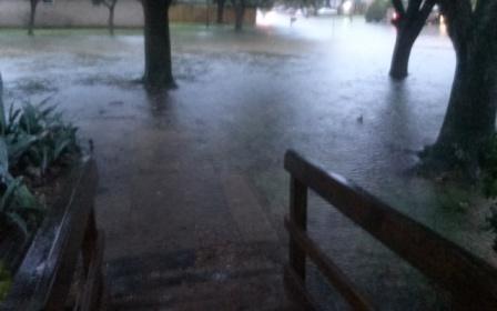 Harvey.jpg