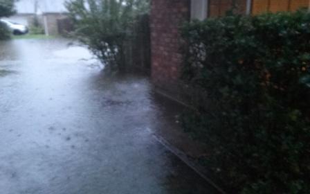 Harvey 2.jpg