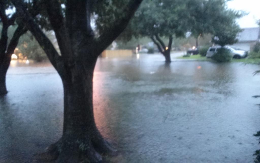 Harvey 3.jpg