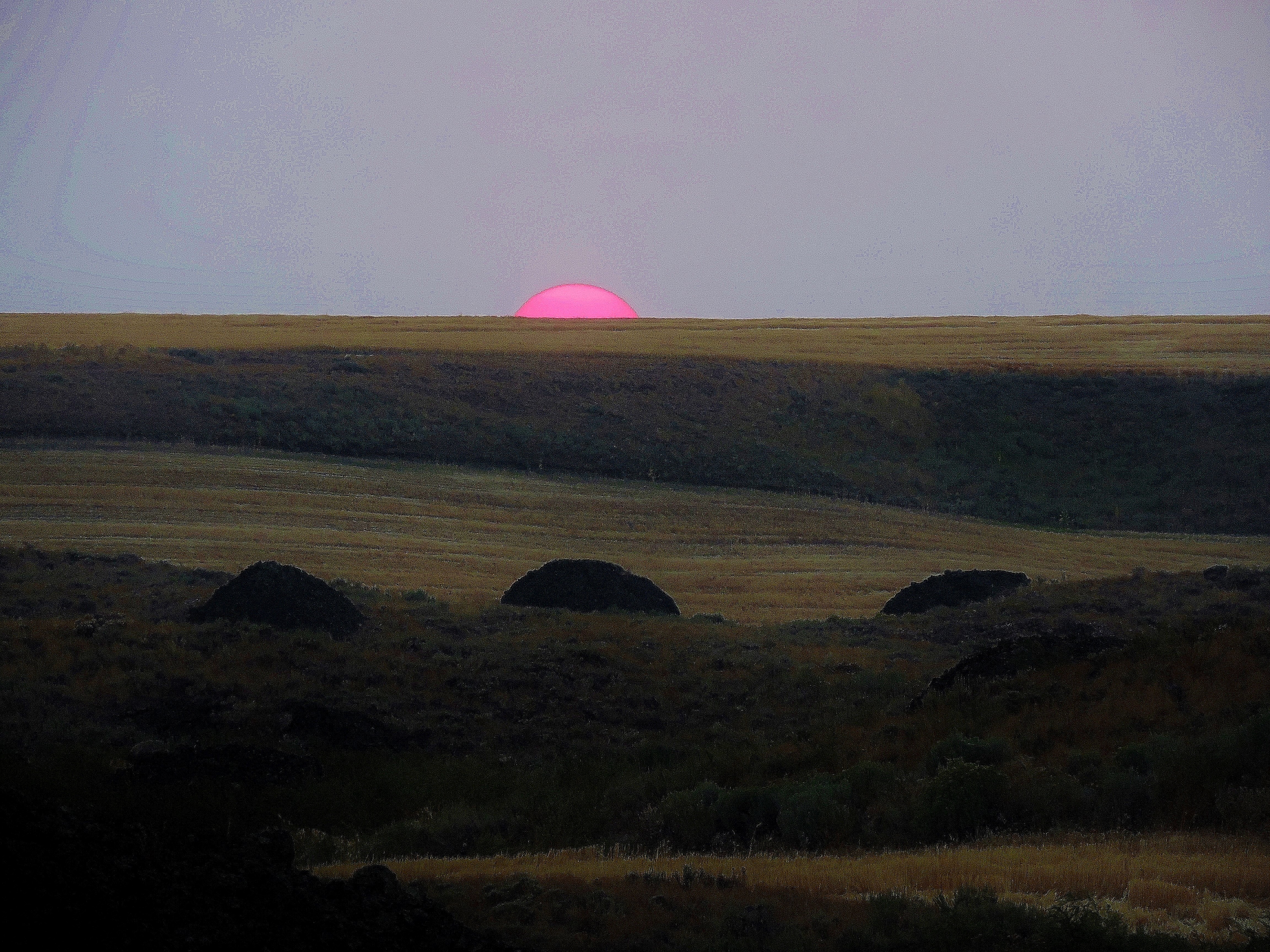 DSCN5192.JPG