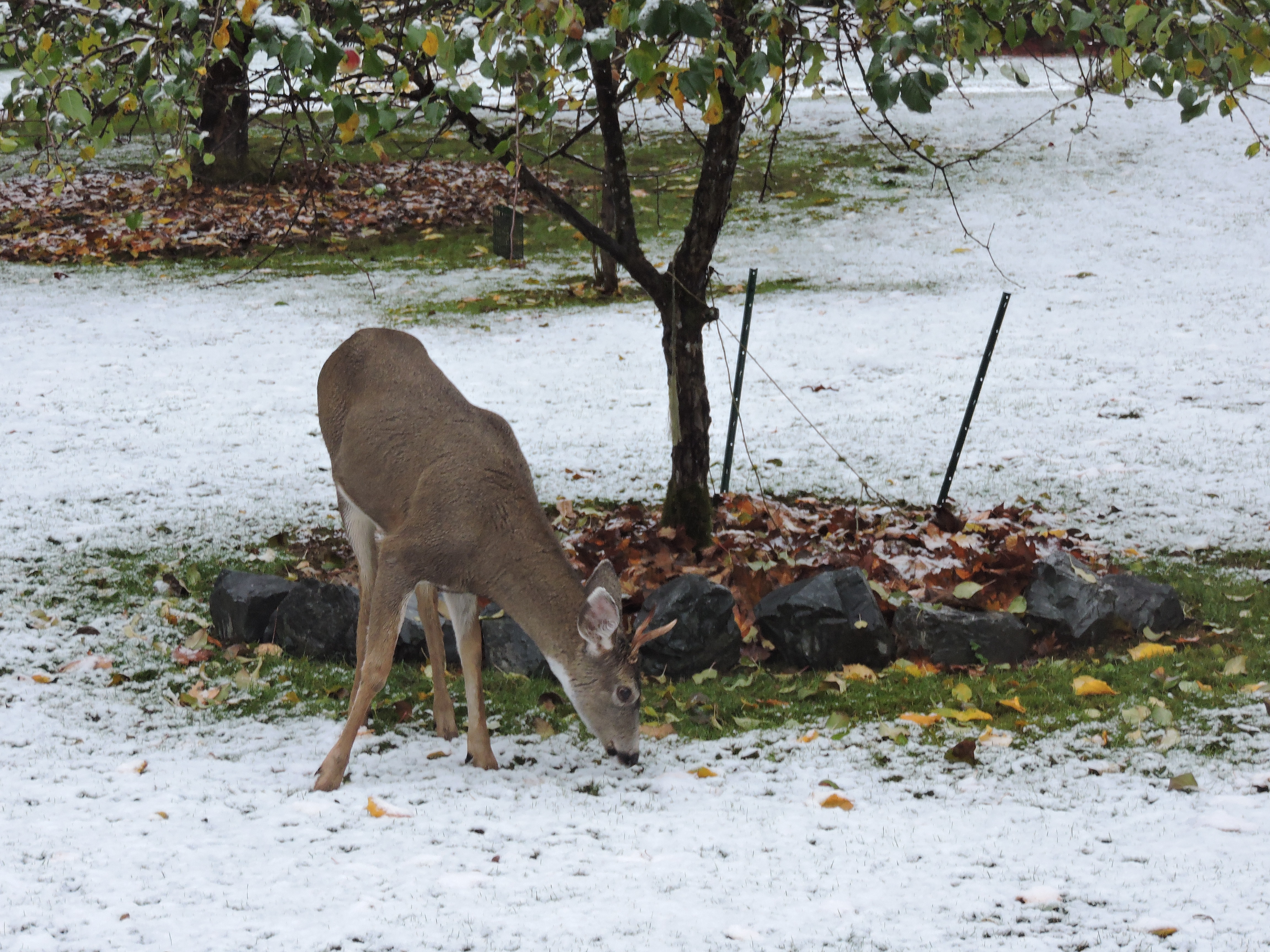DSCN5620.JPG