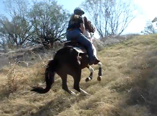 river ride 11.jpg