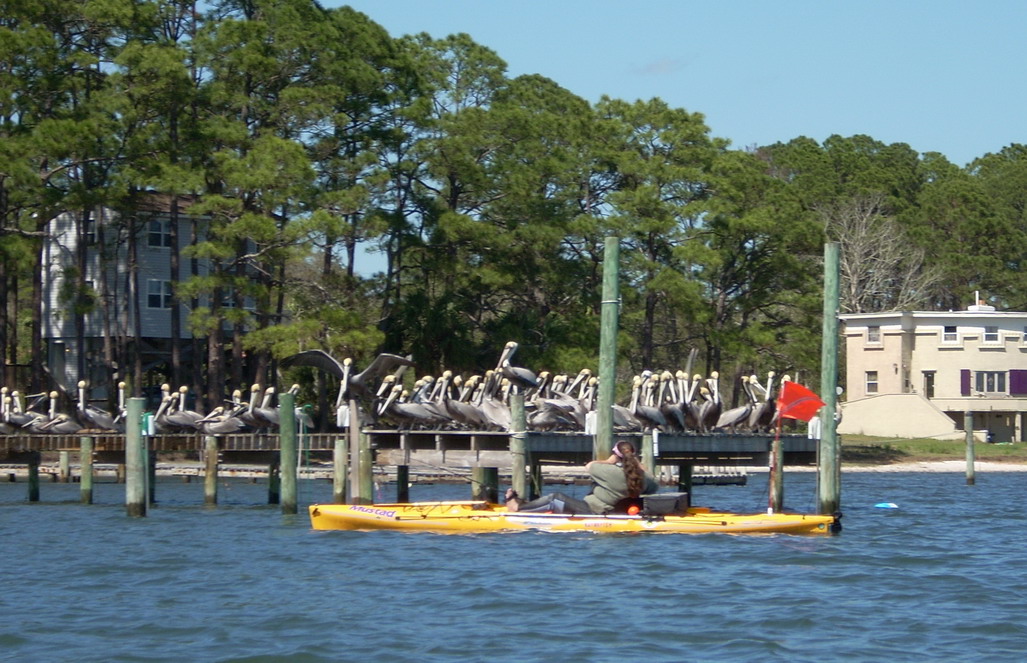 who is checking out who.jpg