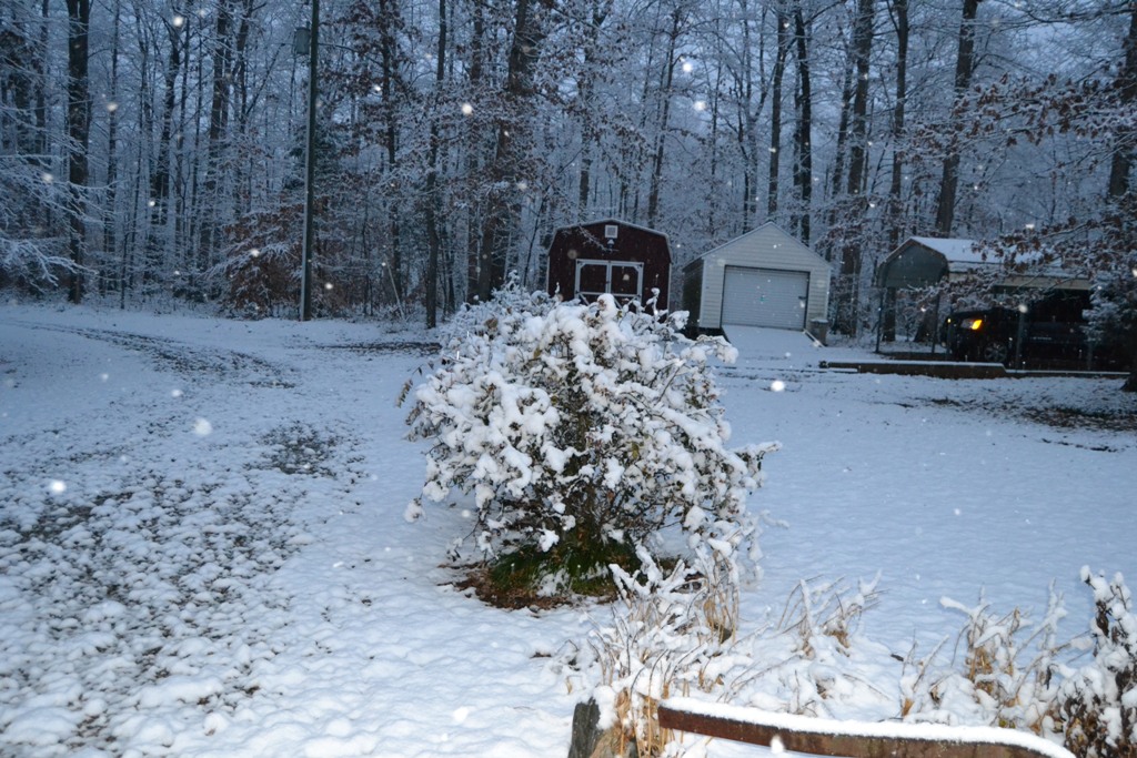 11 yup winter.jpg
