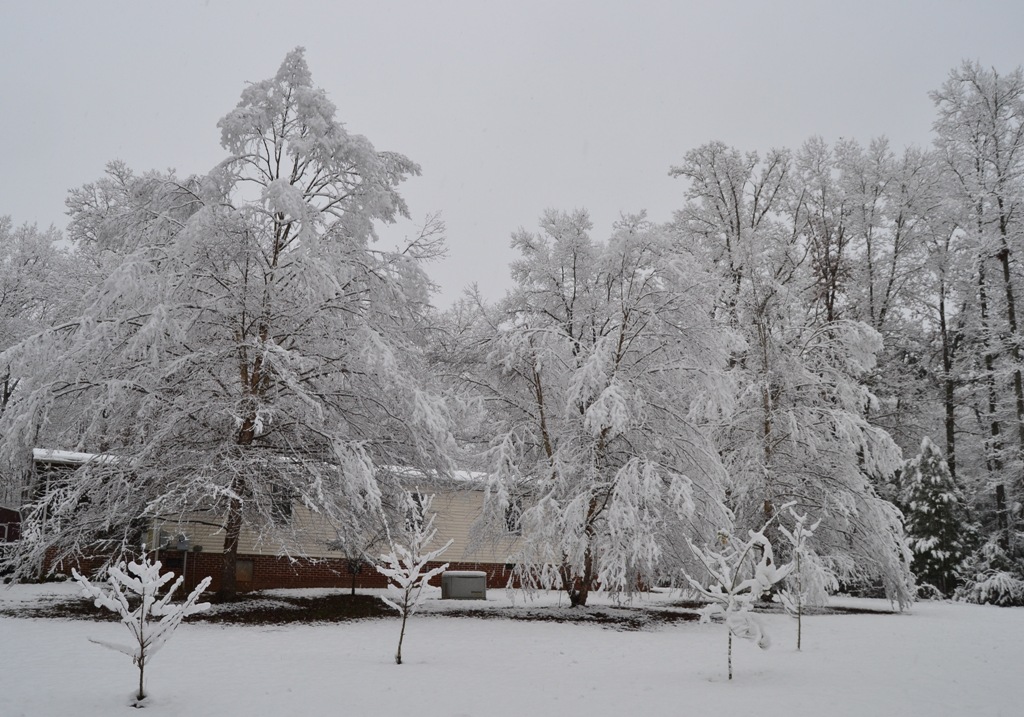 still snowing.jpg