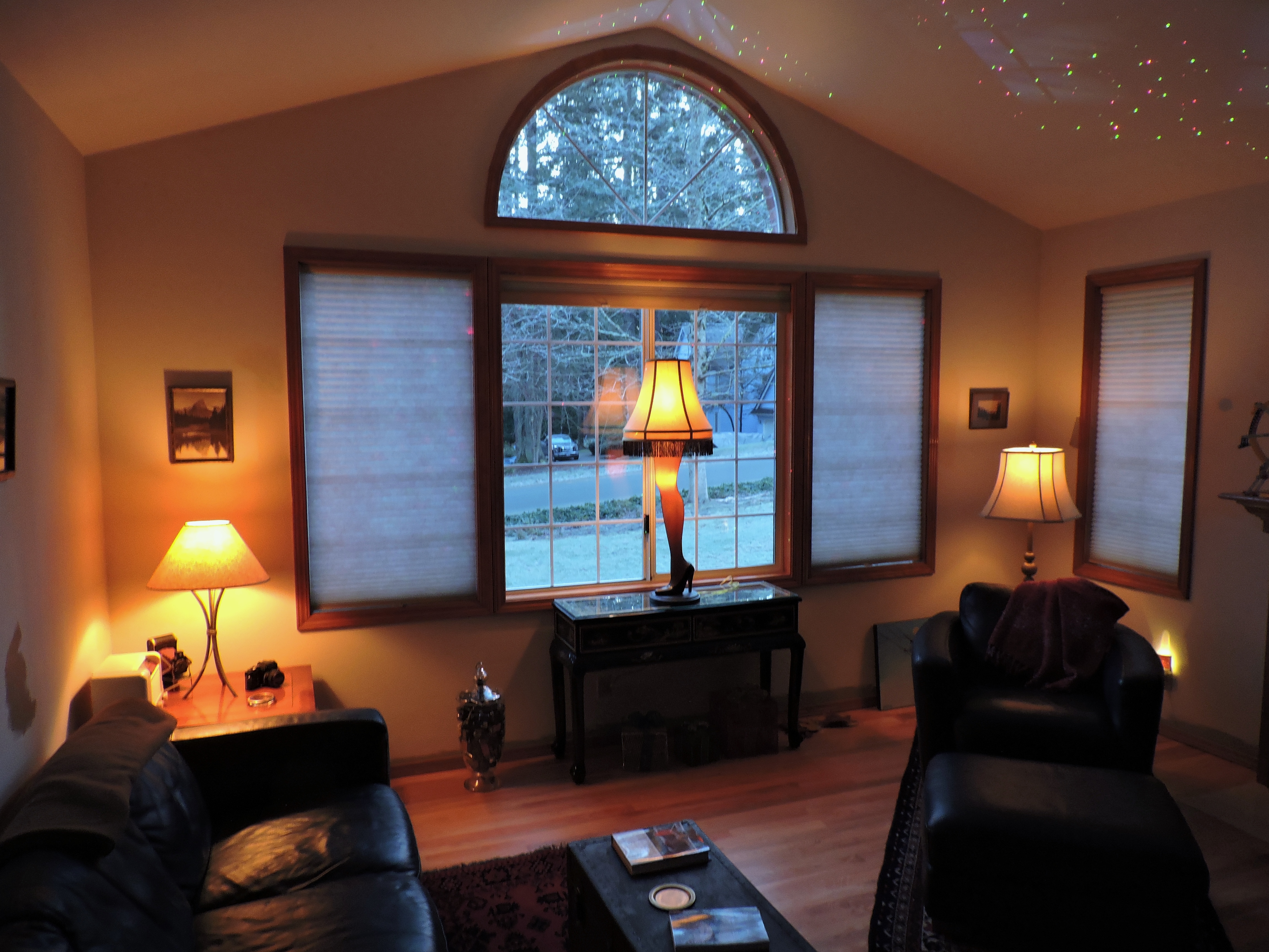 DSCN6133.JPG