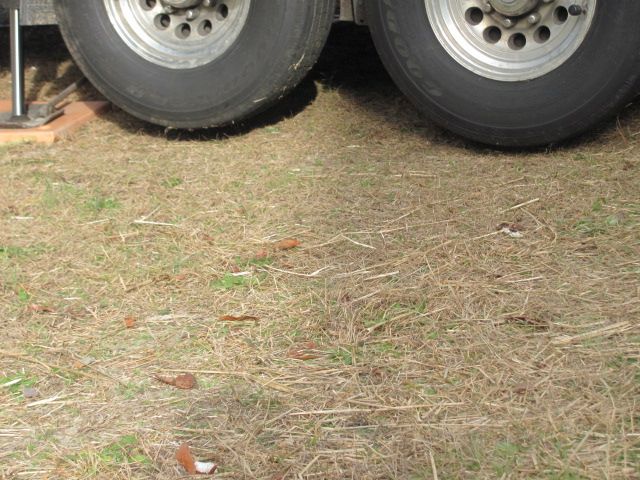 171225 001 2017 Christmas Camping 003.jpg